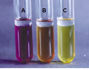 decarboxylation test quizlet.